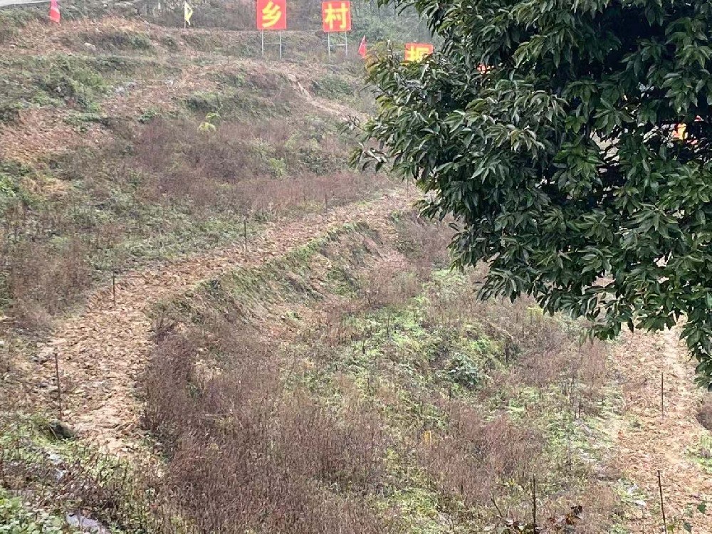 宜賓市珙縣上羅鎮噴灌項目