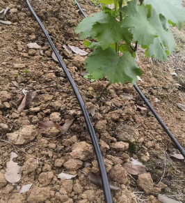 內鑲圓柱滴灌管