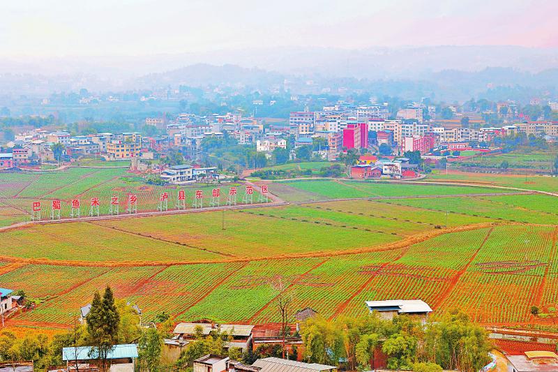 這個萬畝糧油示范園不一般