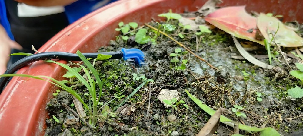 溫江區苗木園林灌溉項目